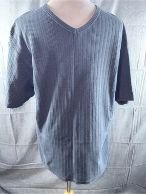 2642-Basic Equipment Men's Ribbed V-Neck Short Sleeve Tee - Blue